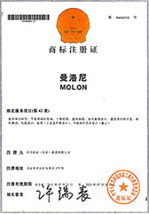 曼洛尼榮譽(yù)證書